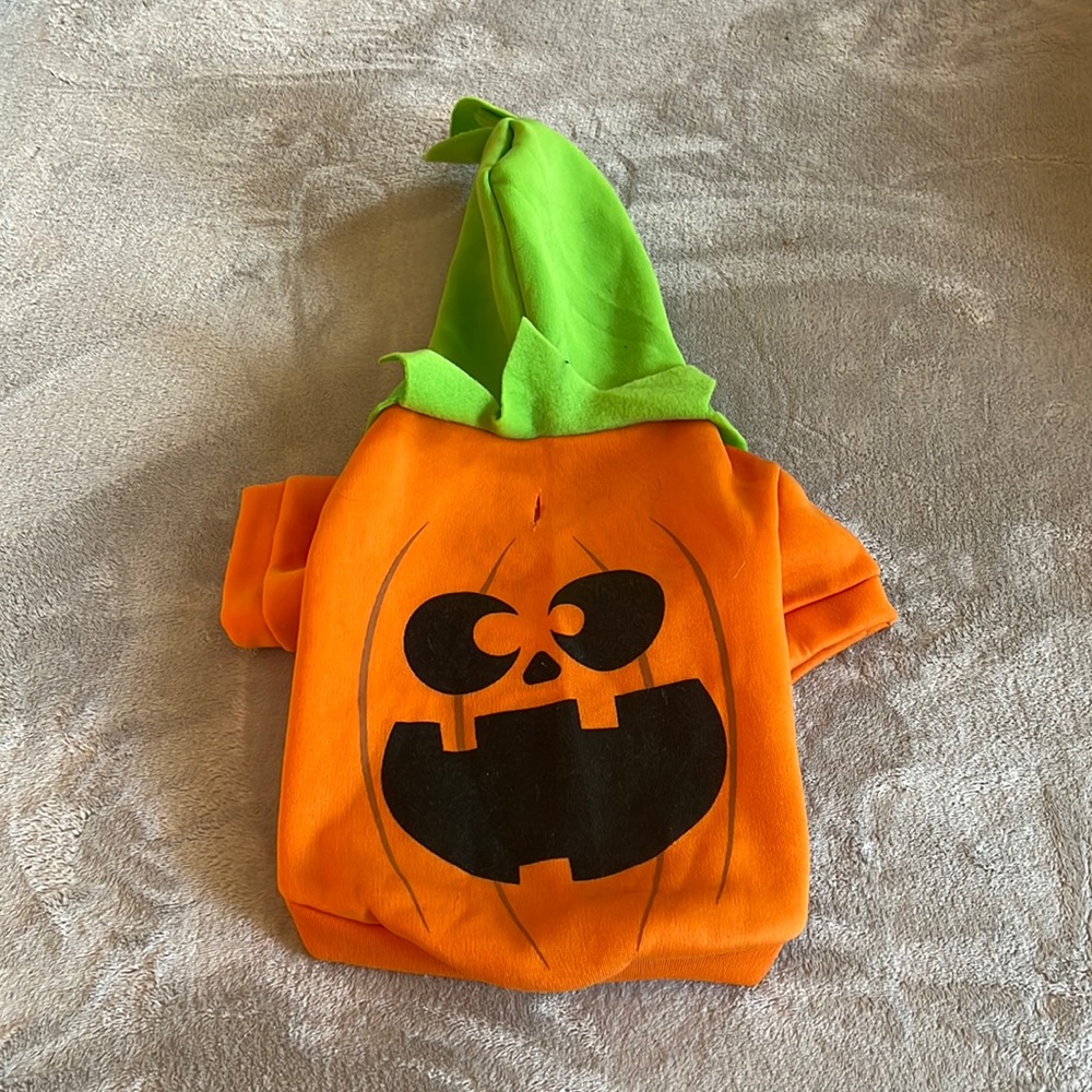 Pet costume